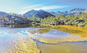 　螺髻山仙草湖。 涼山在線.jpg